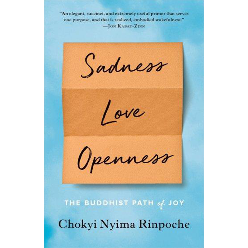 Sadness, Love, Openness - The Buddhist Path of Joy